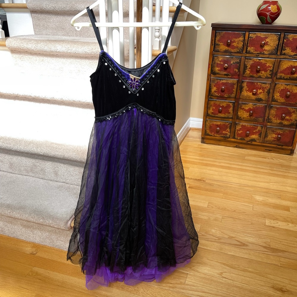 Black And Purple Costume